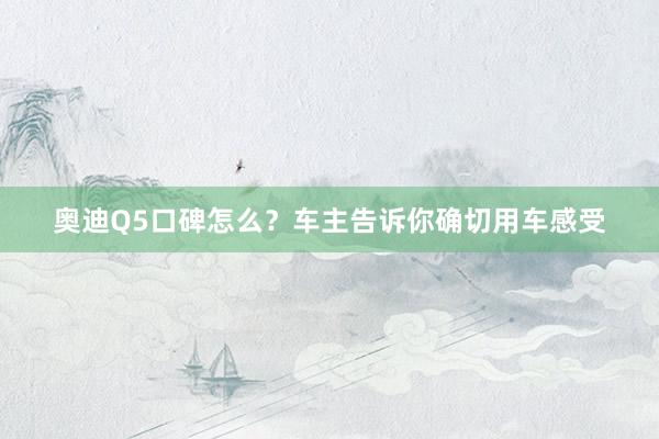 奥迪Q5口碑怎么？车主告诉你确切用车感受